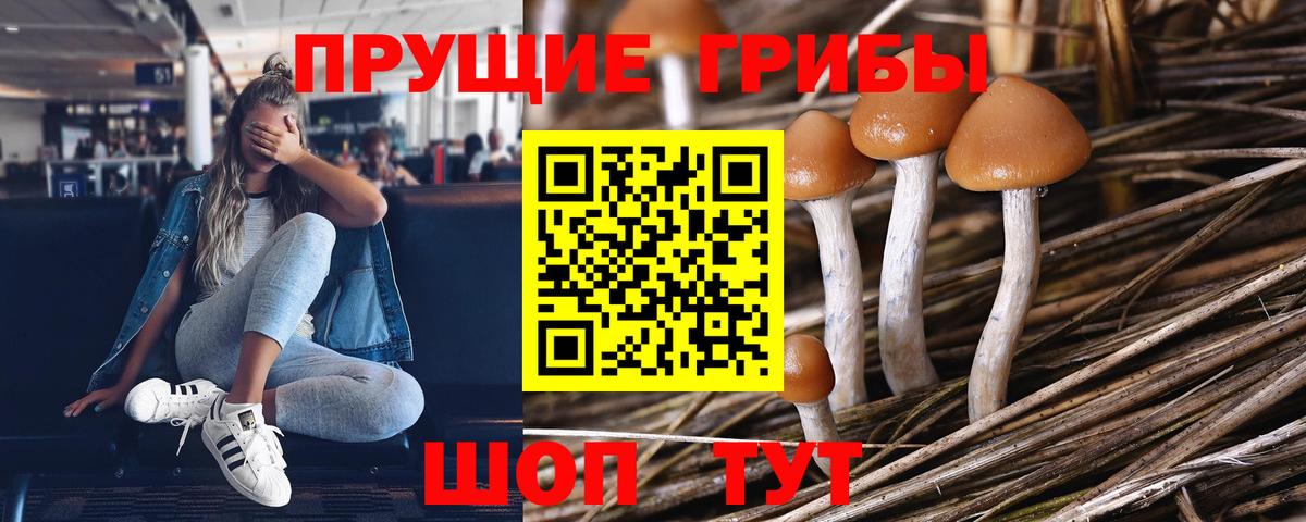 Галлюциногенные грибы прущие грибы Каменка
