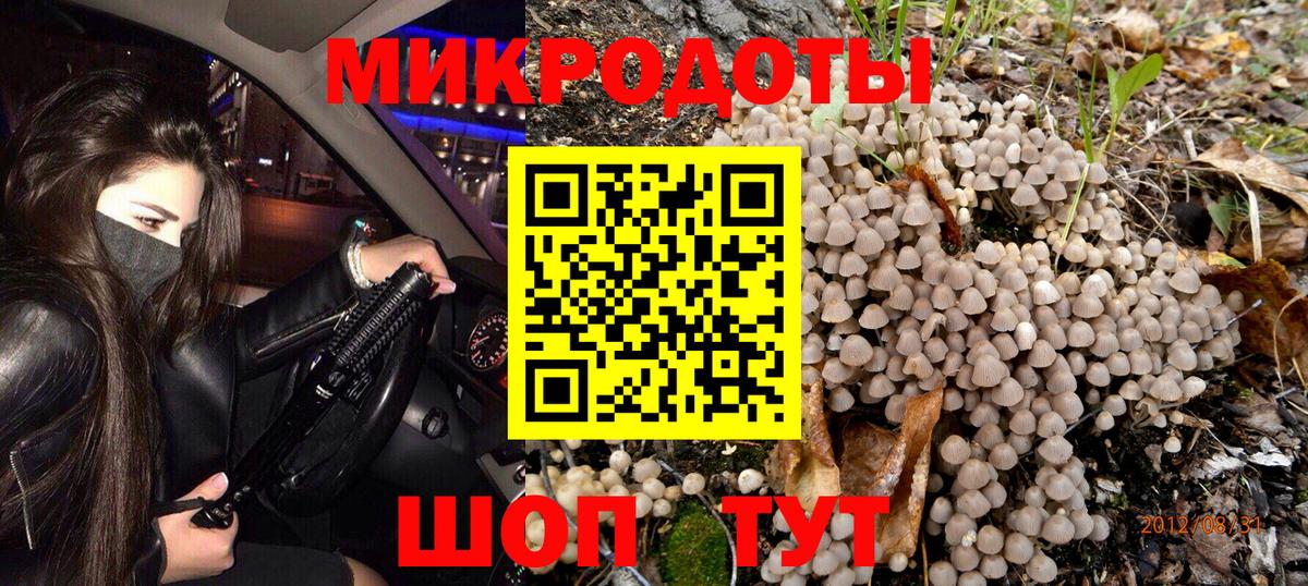 Псилоцибиновые грибы Psilocybe  Галлюциногенные грибы ЛСД  Каменка  Вход с VPN 